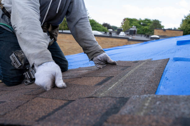 Best Residential Roofing Contractor  in Luverne, MN