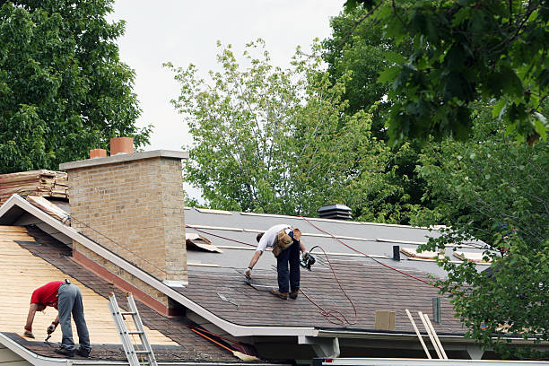 Best Flat Roof Repair Services  in Luverne, MN