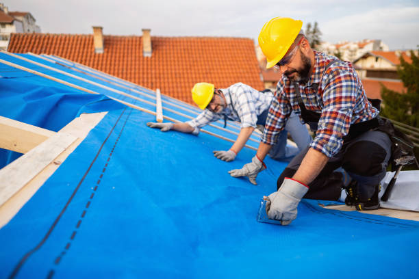 Best New Roof Installation  in Luverne, MN