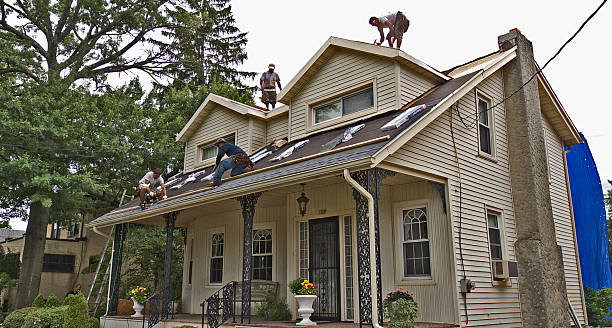 Best Roof Gutter Cleaning  in Luverne, MN