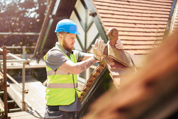 Best Roof Maintenance Services  in Luverne, MN