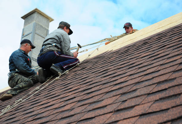 Roof Gutter Cleaning in Luverne, MN