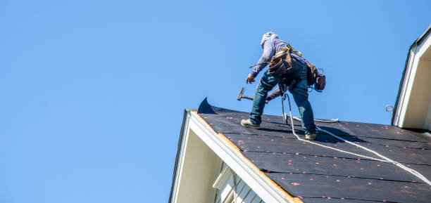 Best Roof Leak Repair  in Luverne, MN